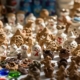 Какие бывают формы сувениров